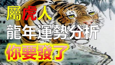 虎年幸運顏色|【虎 幸運色】虎迷注意！2024年虎運大解析：你的幸運色和秘訣。